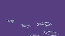 Konfirmationsgottesdienst