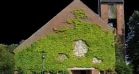 Frühlings-Flohmarkt