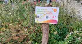 Blühende Gemeinschaft- offener Treff für Alle