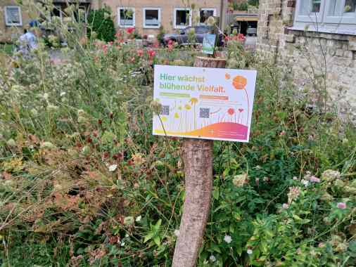 Blühende Gemeinschaft- offener Treff für Alle