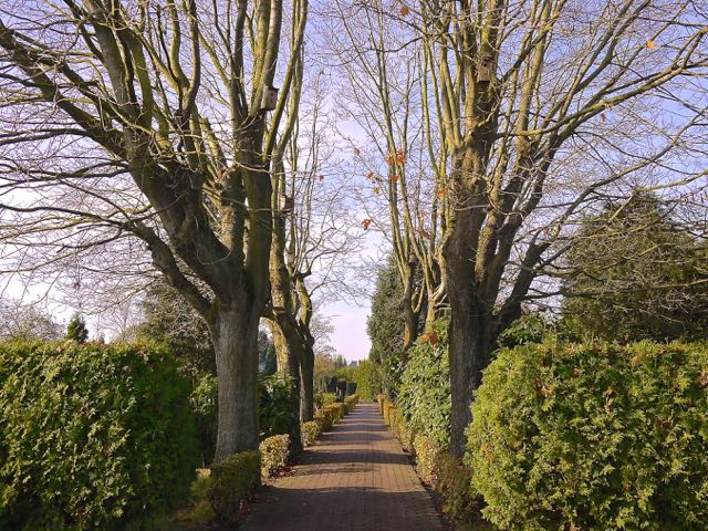 Friedhof Harrislee