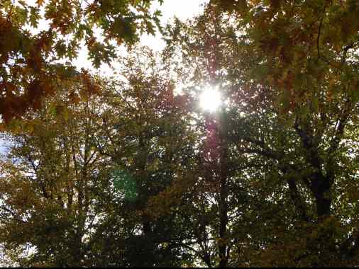 Wochenschlussandacht