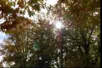 <a href="/veranstaltungen/detailansicht/event/wochenschlussandacht-81.html" target="_self">Wochenschlussandacht</a>