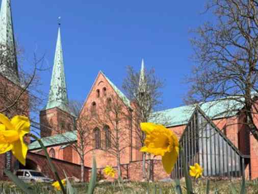 „Offener Kreis am Dom"