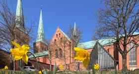„Offener Kreis am Dom"
