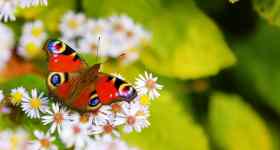 Gottesdienst in Oeversee