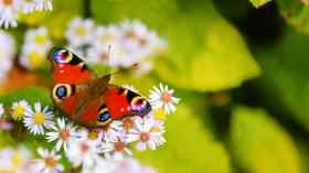 Gottesdienst in Oeversee