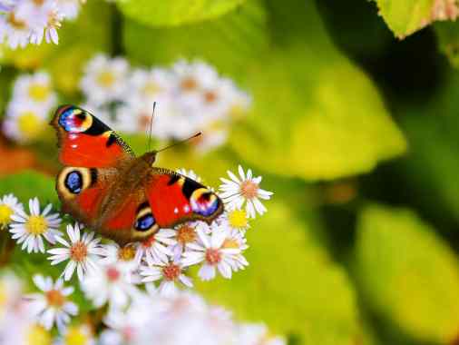 Gottesdienst in Oeversee