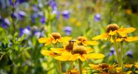 Gottesdienst auf der Wiese bei der Kirche
