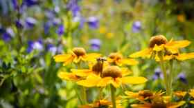 Gottesdienst auf der Wiese bei der Kirche