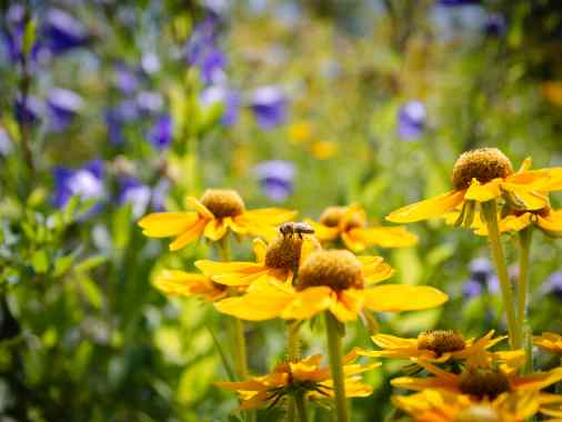 Gottesdienst auf der Wiese bei der Kirche