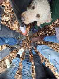 <a href="/veranstaltungen/detailansicht/event/pfadis-friends-25.html" target="_self">Pfadis &amp; Friends</a>