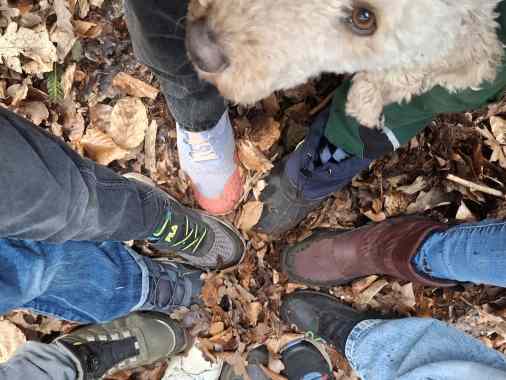 Pfadis & Friends