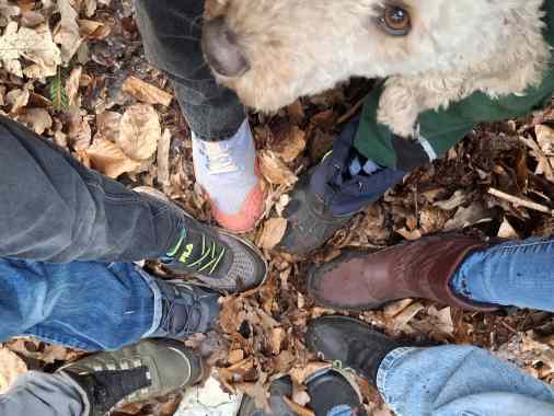 Pfadis & Friends
