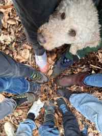 <a href="/veranstaltungen/detailansicht/event/pfadis-friends-32.html" target="_self">Pfadis &amp; Friends</a>