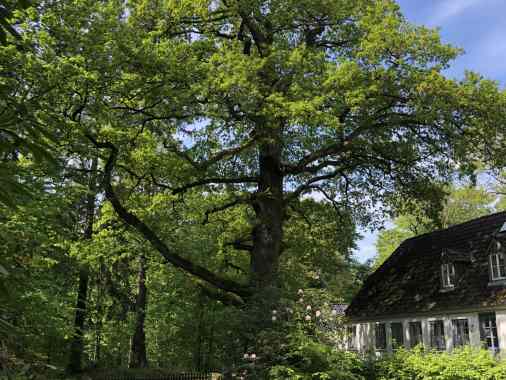 Waldgottesdienst in der Marienhölzung für den Pfarrsprengel Hafen & Höhe