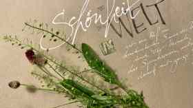 Die Kraft der Schönheit - Kalligrafie und Spiritualität