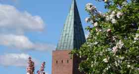 Gottesdienst - 5. Sonntag nach Trinitatis