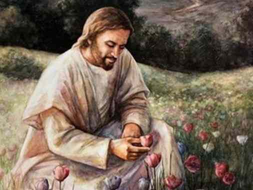 11. So. n. Trinitatis, Gottesdienst "Lilien"