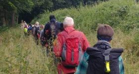 Jahreszeitenpilgern rund um Süsel
