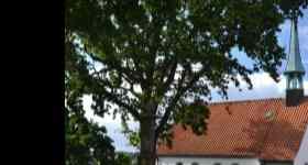 Hafengottesdienst mit Pastor Birkner