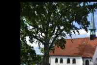 <a href="/veranstaltungen/detailansicht/event/hafengottesdienst-mit-pastor-birkner-2.html" target="_self">Hafengottesdienst mit Pastor Birkner</a>