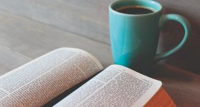 Bibel feministisch gelesen - Online-Bibelwerkstatt