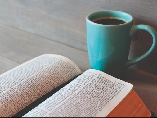Bibel feministisch gelesen - Online-Bibelwerkstatt