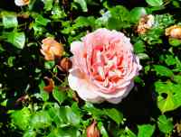 <a href="/veranstaltungen/detailansicht/event/sommer-abend-andacht-5.html" target="_self">Sommer-Abend-Andacht</a>