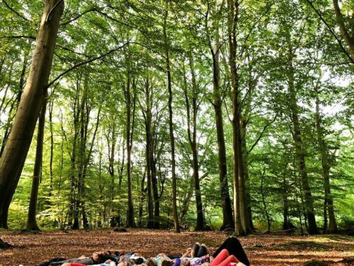 Geht raus! Lernen im Freien und Draußenschule ist Lernen für die Zukunft