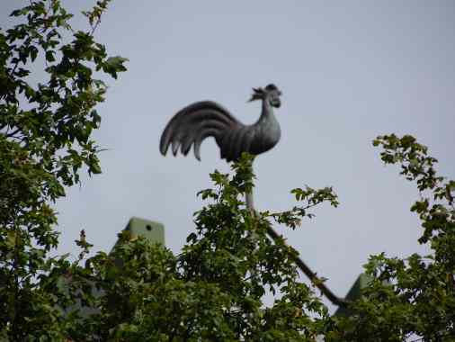17. Sonntag nach Trinitatis / A