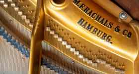 Musikalischer Abendgottesdienst mit Johanna Wiedenbach