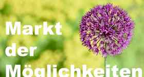Markt der Möglichkeiten
