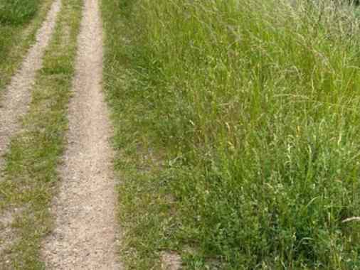 Es war einmal... Ein märchenhafter Pilgerspaziergang