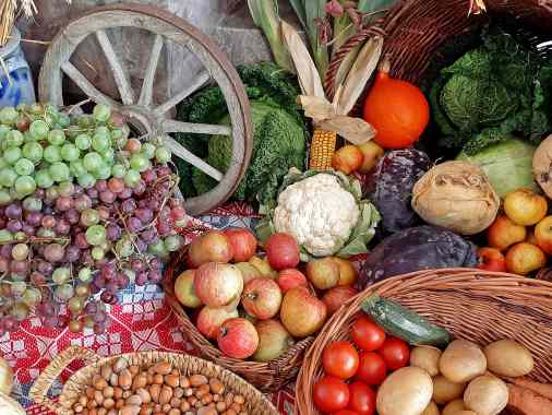 Erntedank-Gottesdienst mit anschl. gemeinsamen Mittagessen