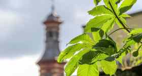 Klimaschutz – Besonders für Kirchen essenziell