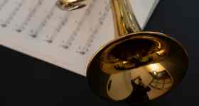 Mare Brass