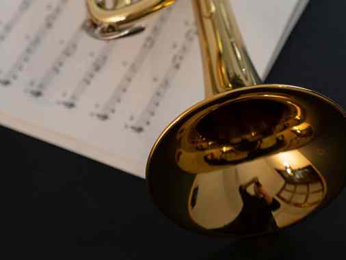 Mare Brass