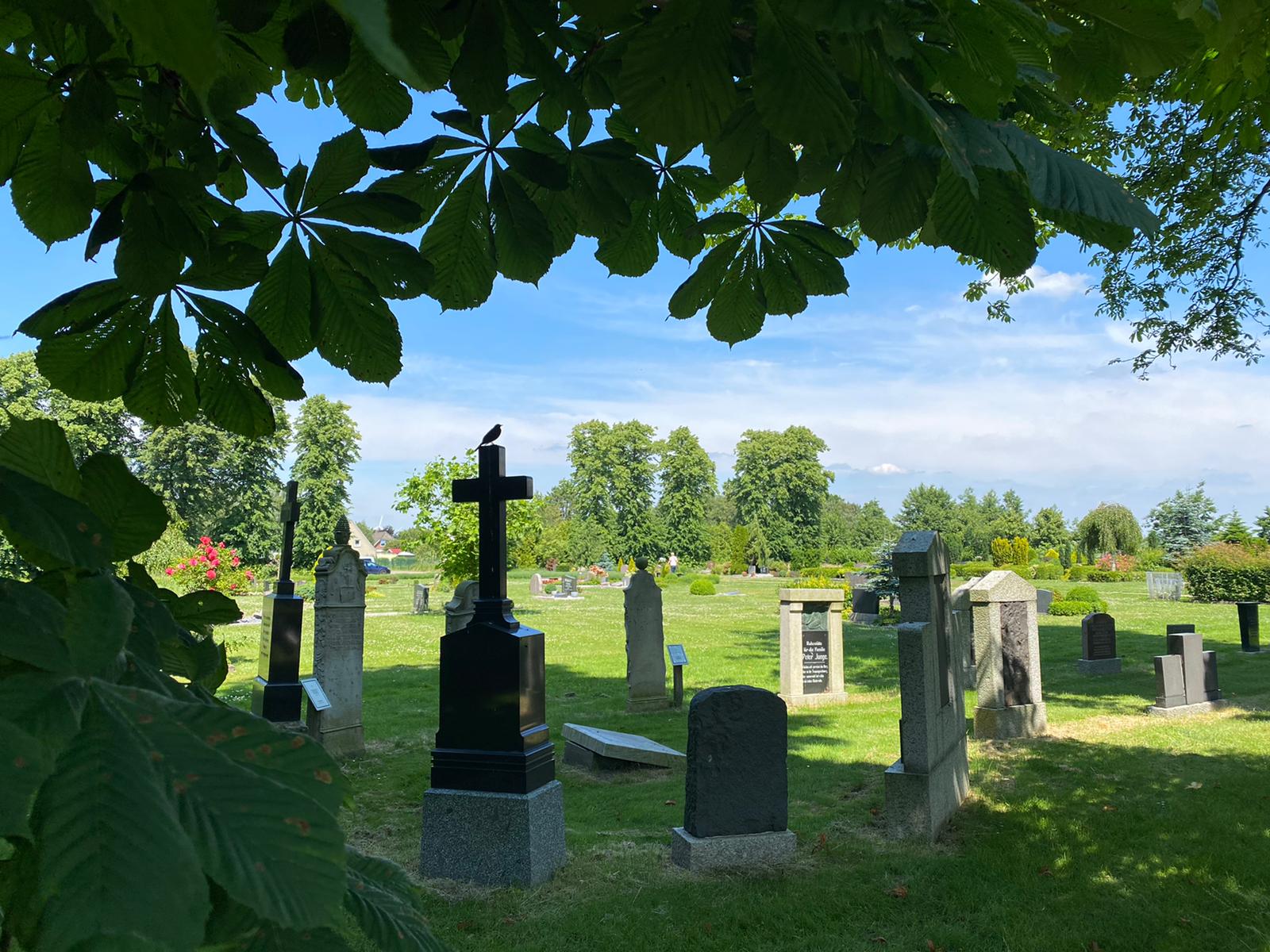 Friedhof Wilster