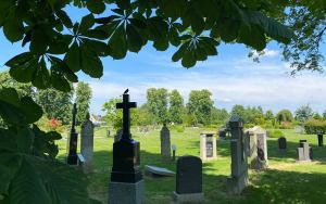 Friedhof Wilster