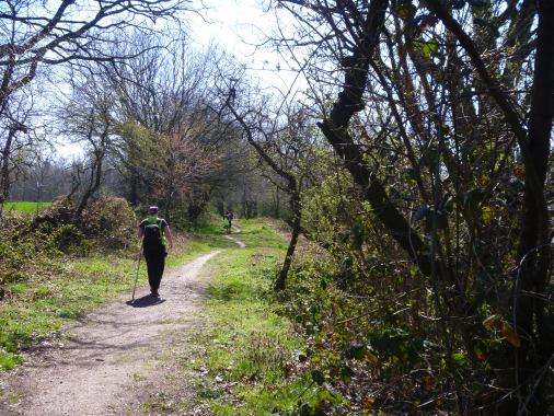 Pilgern für Konfirmanden und andere Jugendliche nach Ostern zwischen Haddeby und Maasholm