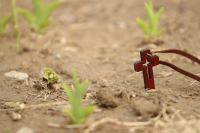 <a href="/veranstaltungen/detailansicht/event/andacht-zur-todesstunde-jesu-12.html" target="_self">Andacht zur Todesstunde Jesu</a>