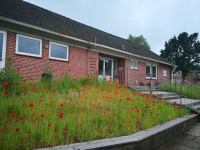 <a href="/institutionen/institution/ev-kita-kleine-fuesse-in-lindewitt.html" target="_self">Ev. Kita &quot;Kleine Füße&quot; Lindewitt</a>