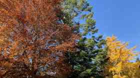 Herbstkirche