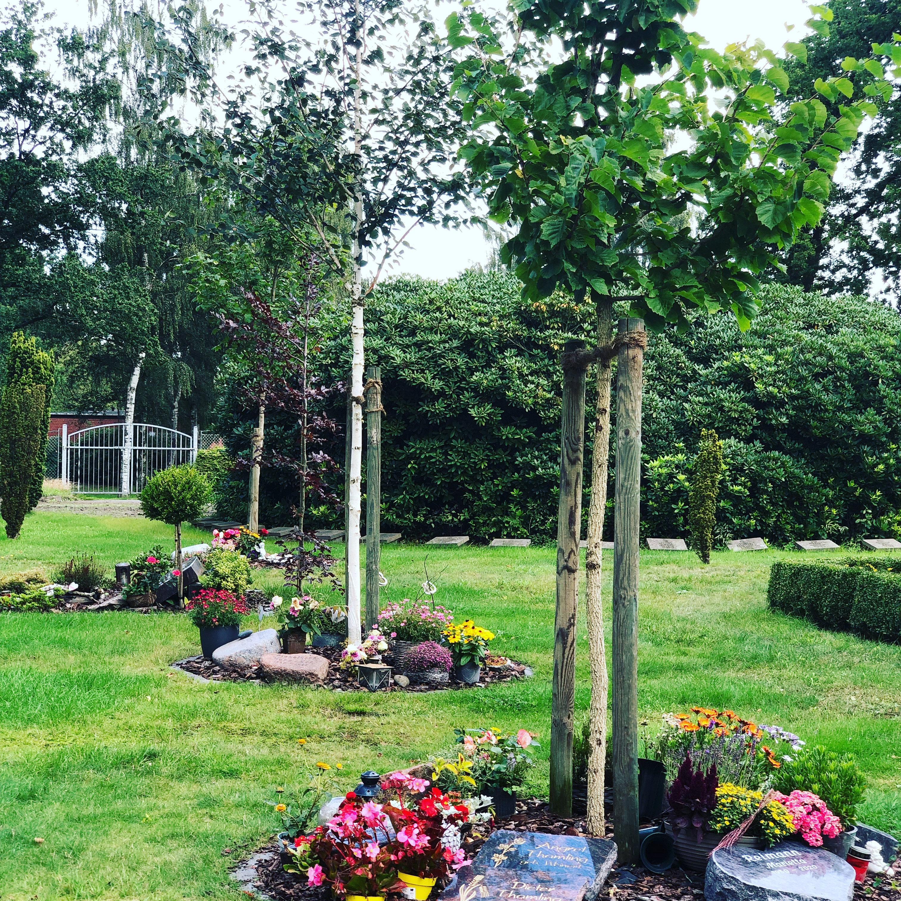 Friedhof Kiebitzreihe