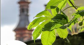 Regenerative Energie mit Photovoltaik auf kirchlichen Gebäuden produzieren