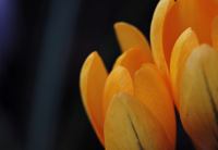 <a href="/veranstaltungen/detailansicht/event/gottesdienst-mit-abendmahl-1392.html" target="_self">Gottesdienst mit Abendmahl</a>