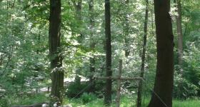 Freiluftgottesdienst am Himmelfahrtstag im Wehlbrook
