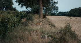 Einladung zum Gottesdienst in die Kapelle des Lindenhofs