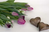 <a href="/veranstaltungen/detailansicht/event/gottesdienst-in-oeversee-5.html" target="_self">Gottesdienst in Oeversee</a>